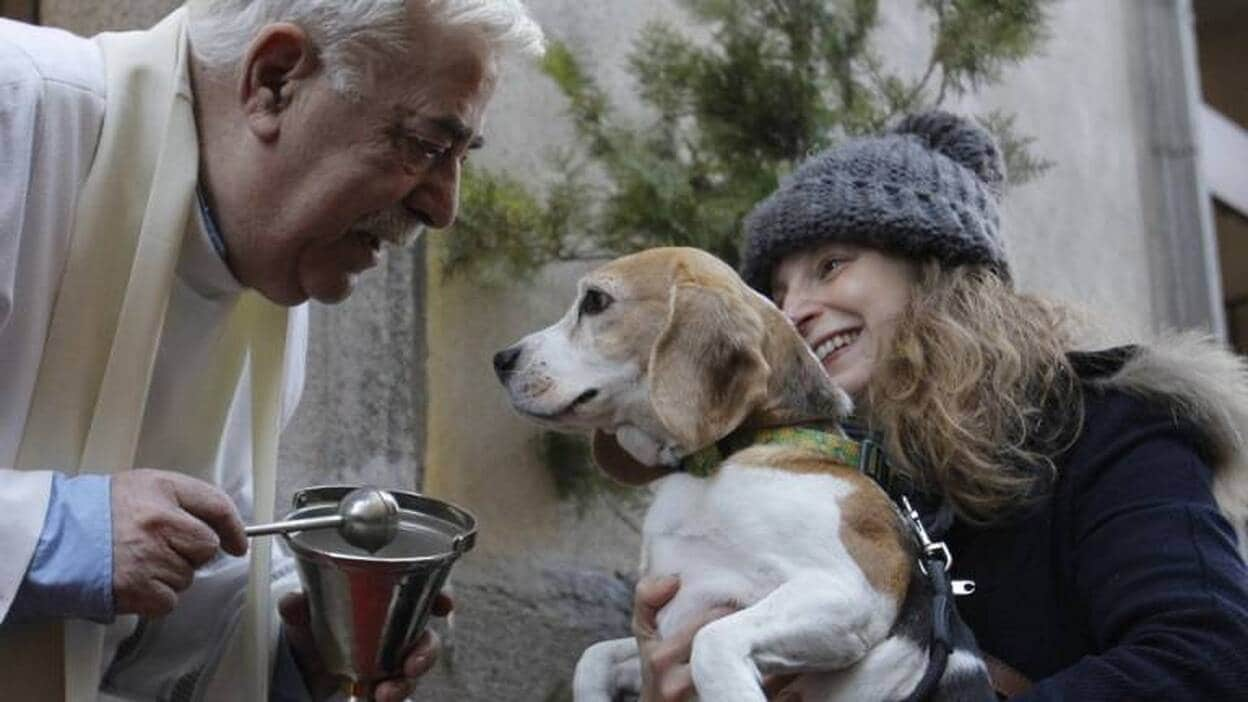 Tradicional bendición a mascotas por San Antón