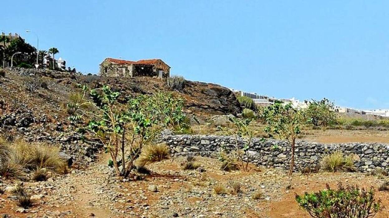 El alcalde pide el proyecto del Siam Park para agilizar su tramitación