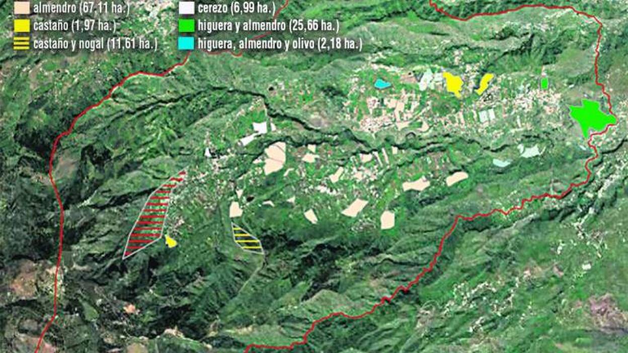 Crear paisaje con frutales para recuperar la superficie agrícola