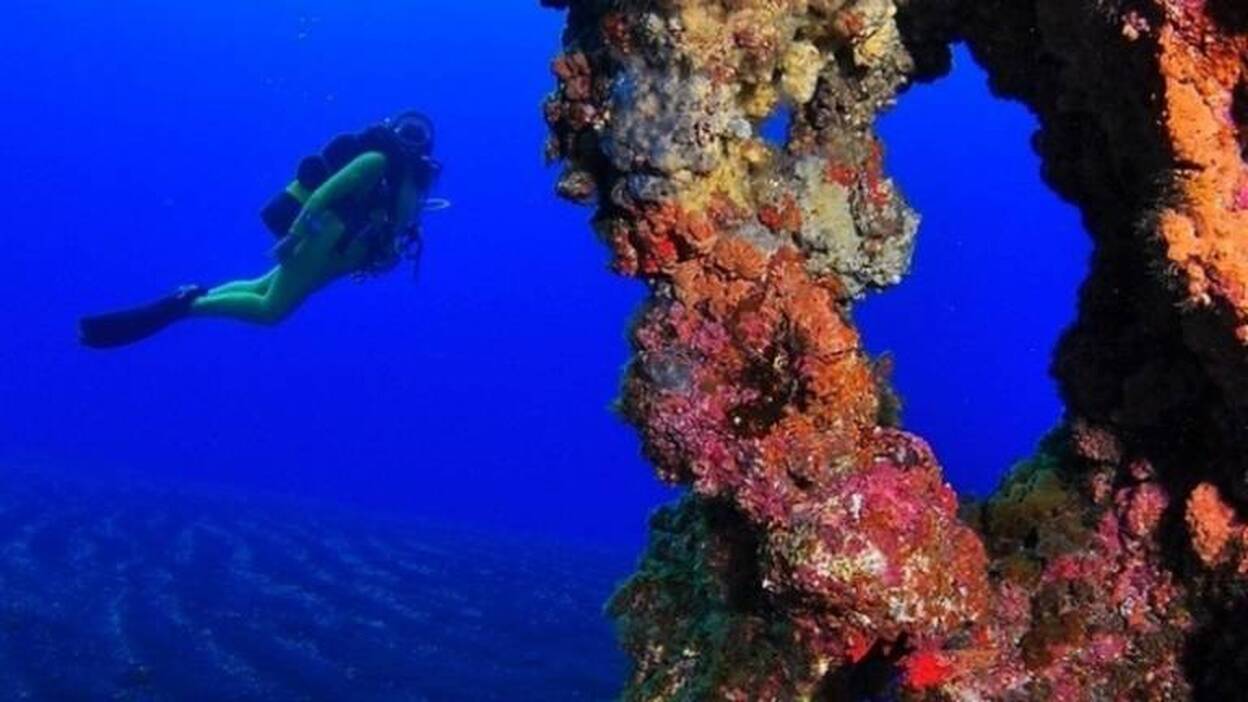 Recogen casi 13.000 firmas de apoyo al Parque Nacional marino de El Hierro