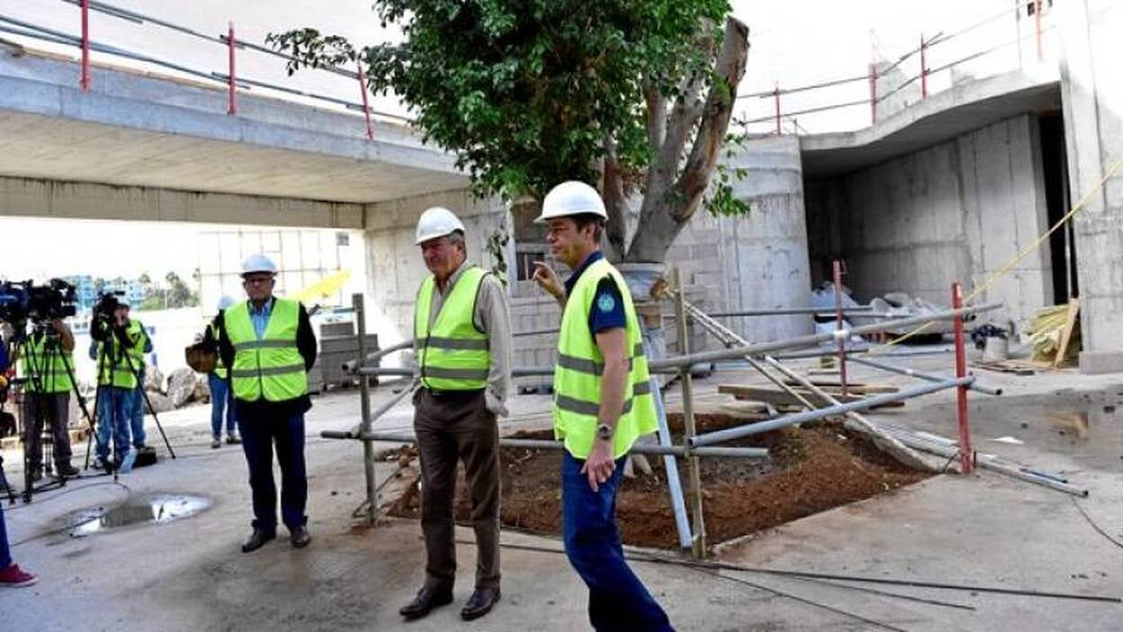 El Poema del Mar conservará 17 especies animales en riesgo