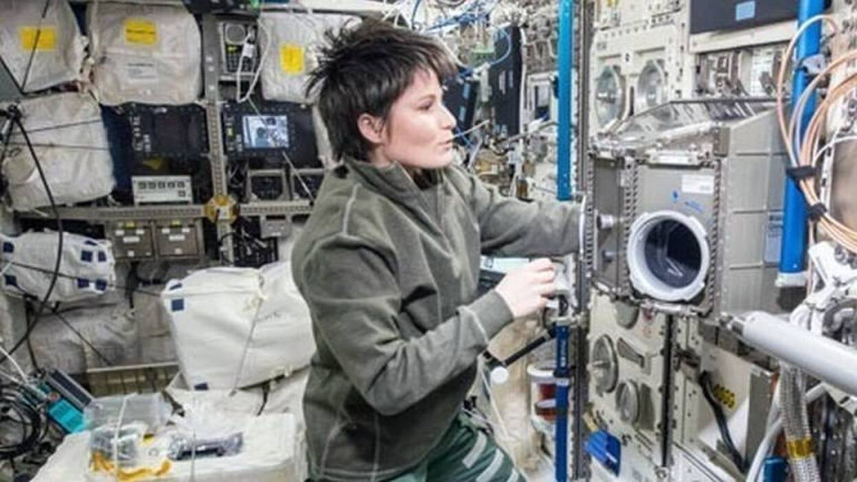 Las células se adaptan en segundos a la gravedad cero