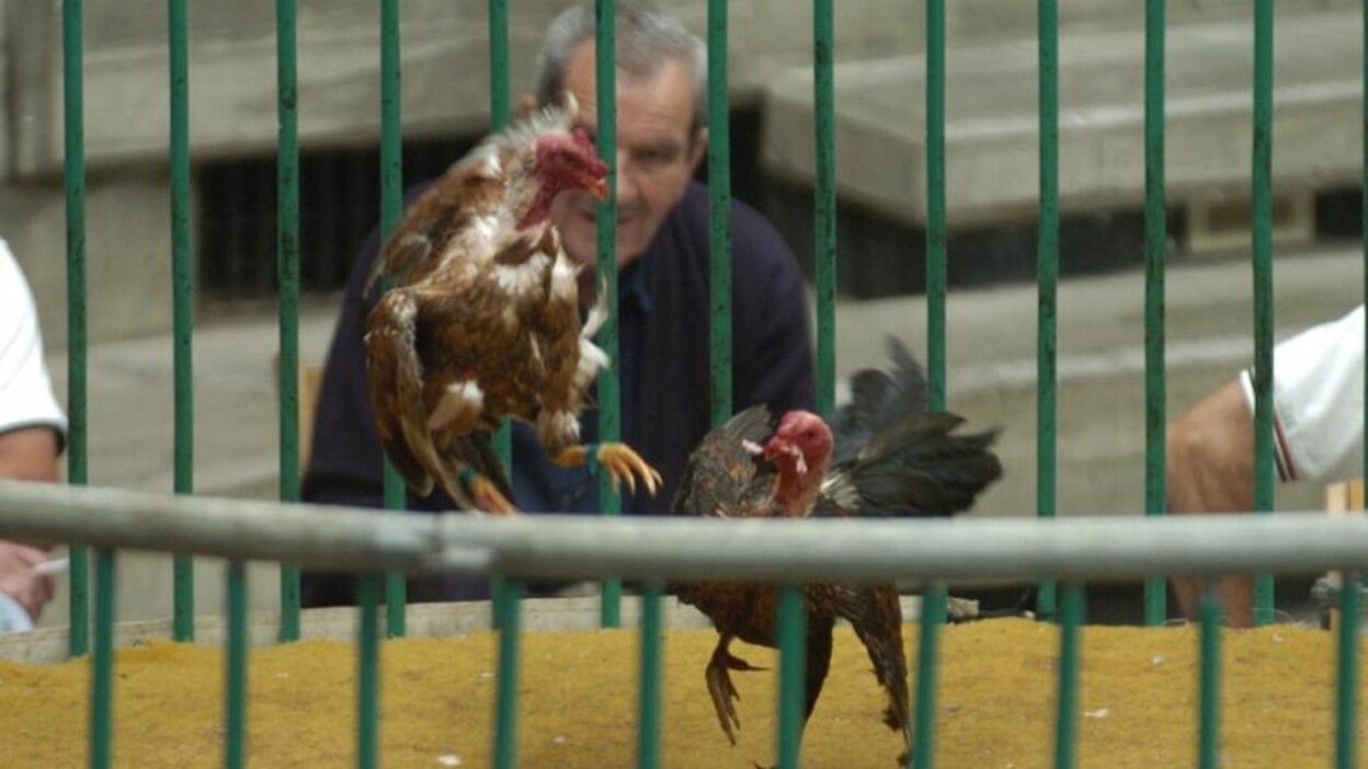 Nuevo estatus para los animales