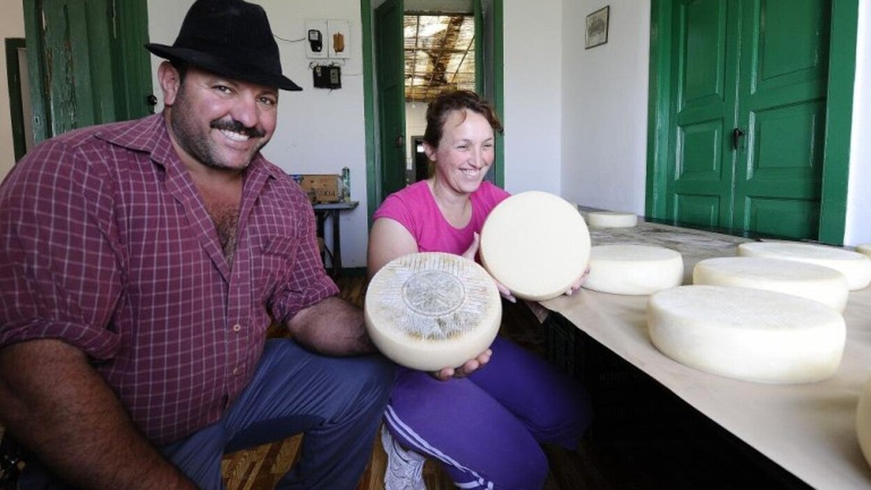 La única D.O.P. de quesos de la Isla, en vías de extinción