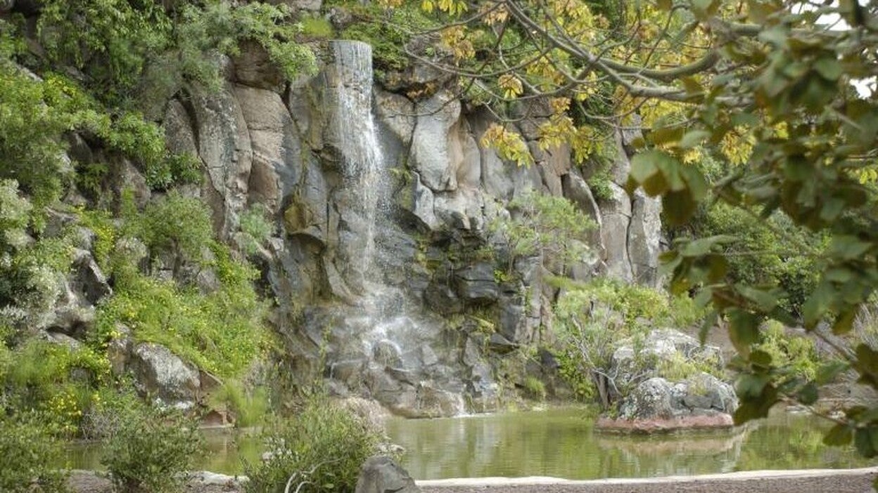 Herido al caer desde cinco metros de altura