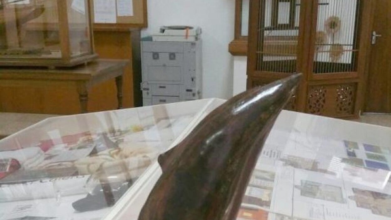 La Escuela de Arte aclara cómo quedará el ciclo de Escultura