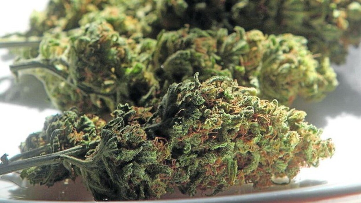 Rechazo a «otra droga legalizada»