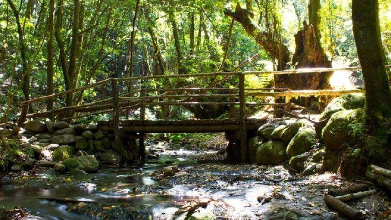 El agua: un recurso bajo control