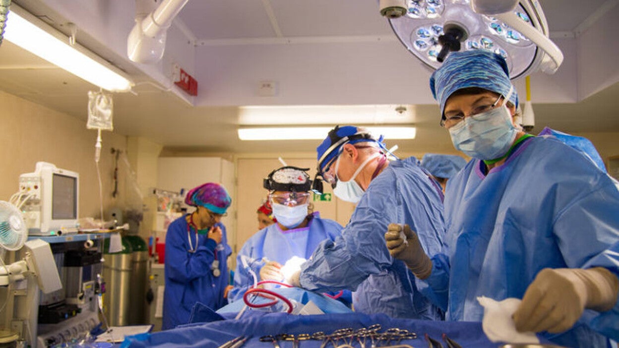 ‘Documentos TV’ muestra la labor de ‘el barco de los cirujanos’