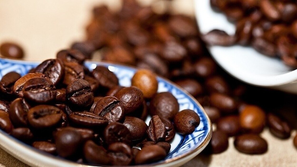 Un proyecto para fomentar el cultivo tradicional de café
