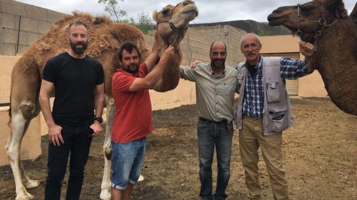 «El camello es el animal del futuro»
