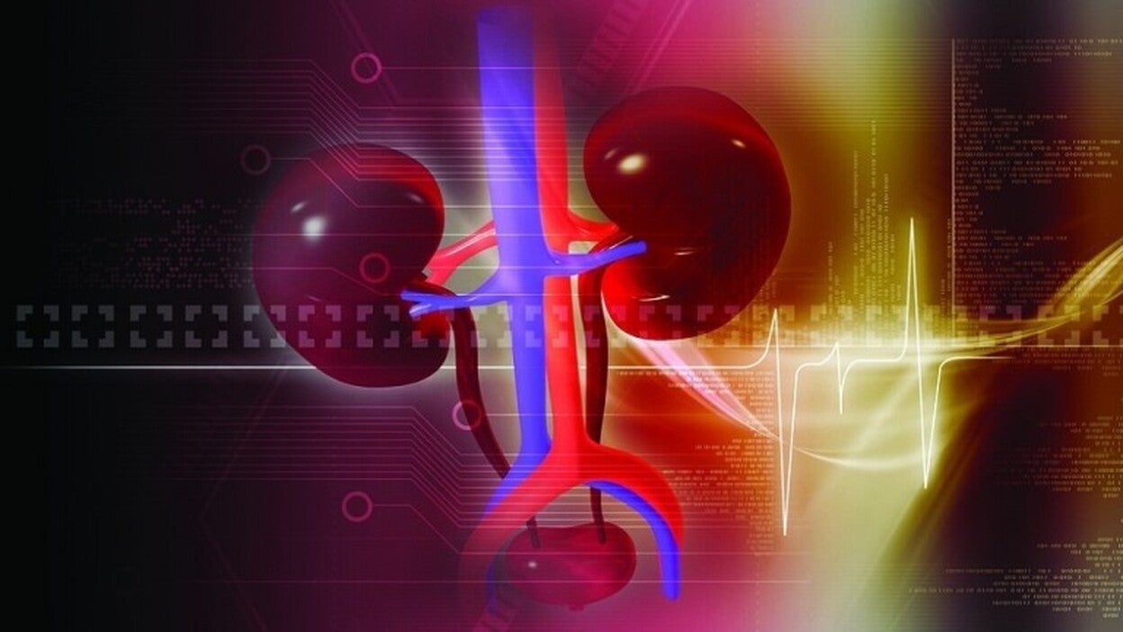 Descubren en la orina proteínas que avisan del rechazo de un riñón trasplantado