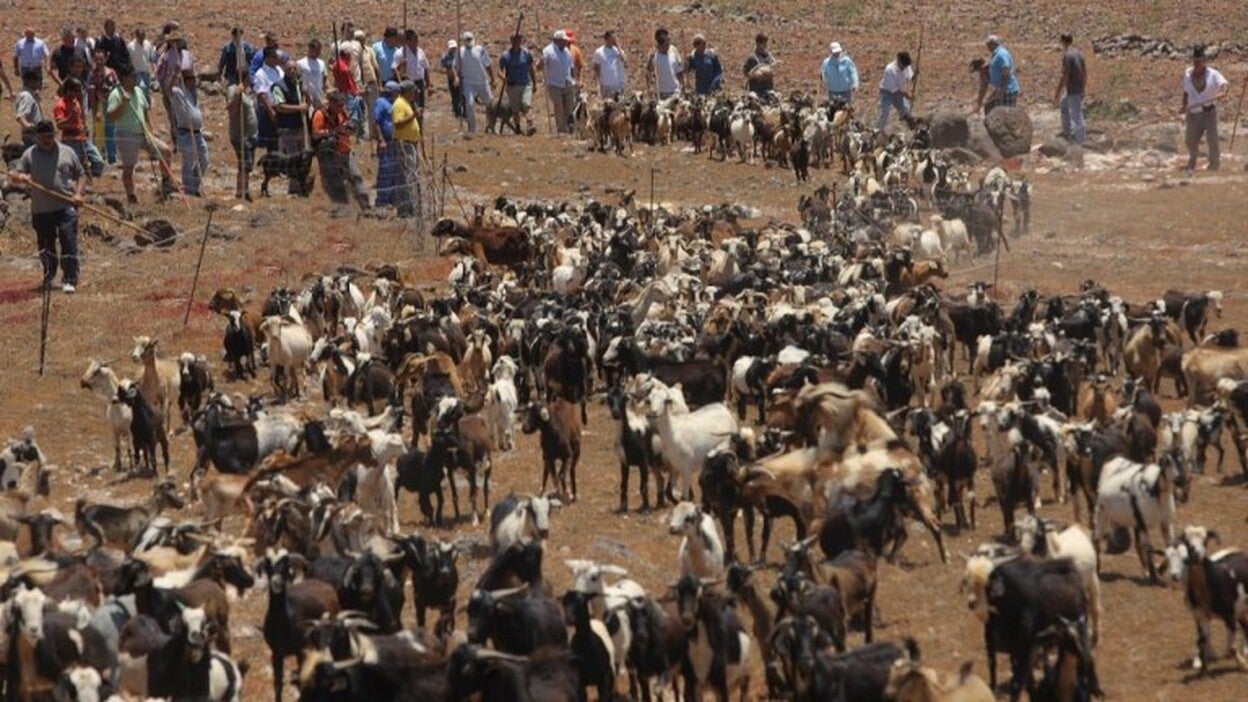 El Hierro celebra la feria de La Apañada