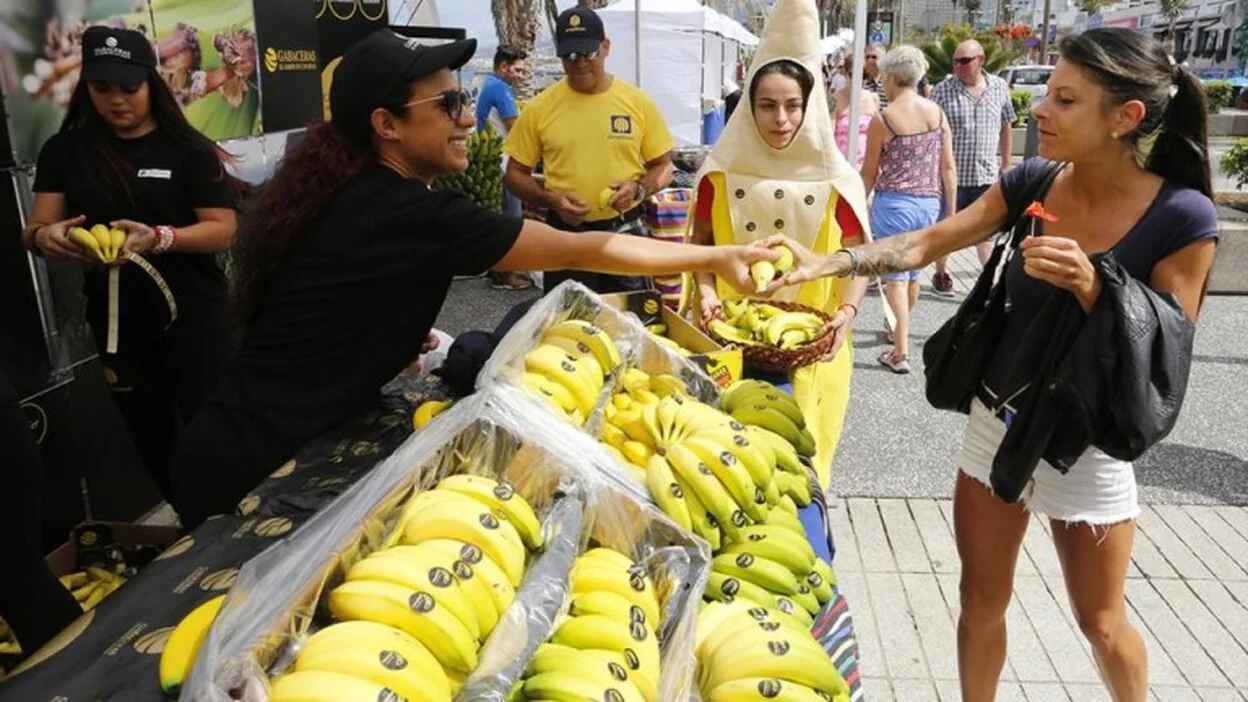 Adeje y Arona celebraron la clausura del III Festival del Plátano