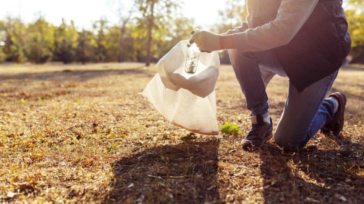 Basura o naturaleza: llegó el momento de elegir