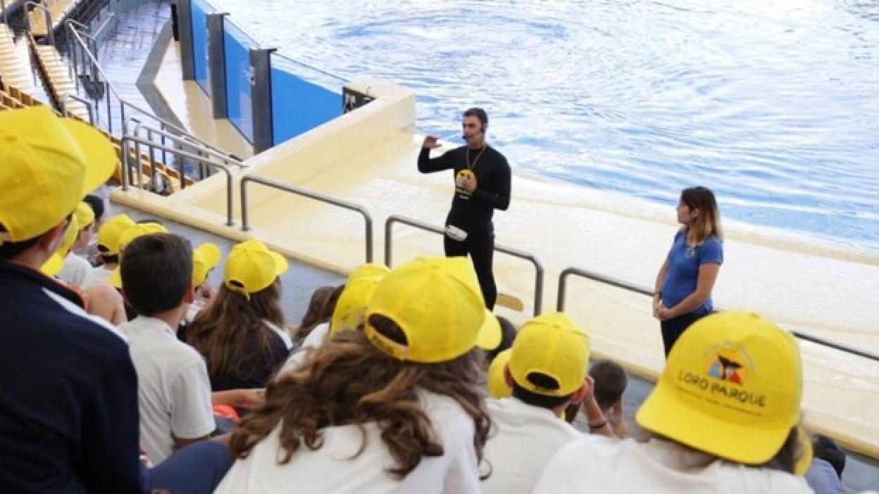 Loro Parque Fundación alerta de una sexta extinción