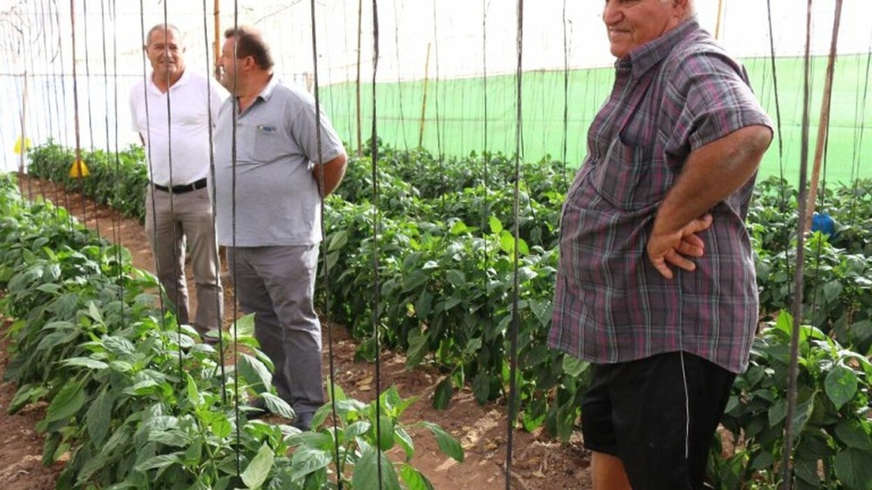 Visita a las explotaciones ganaderas y agrícolas de Antigua