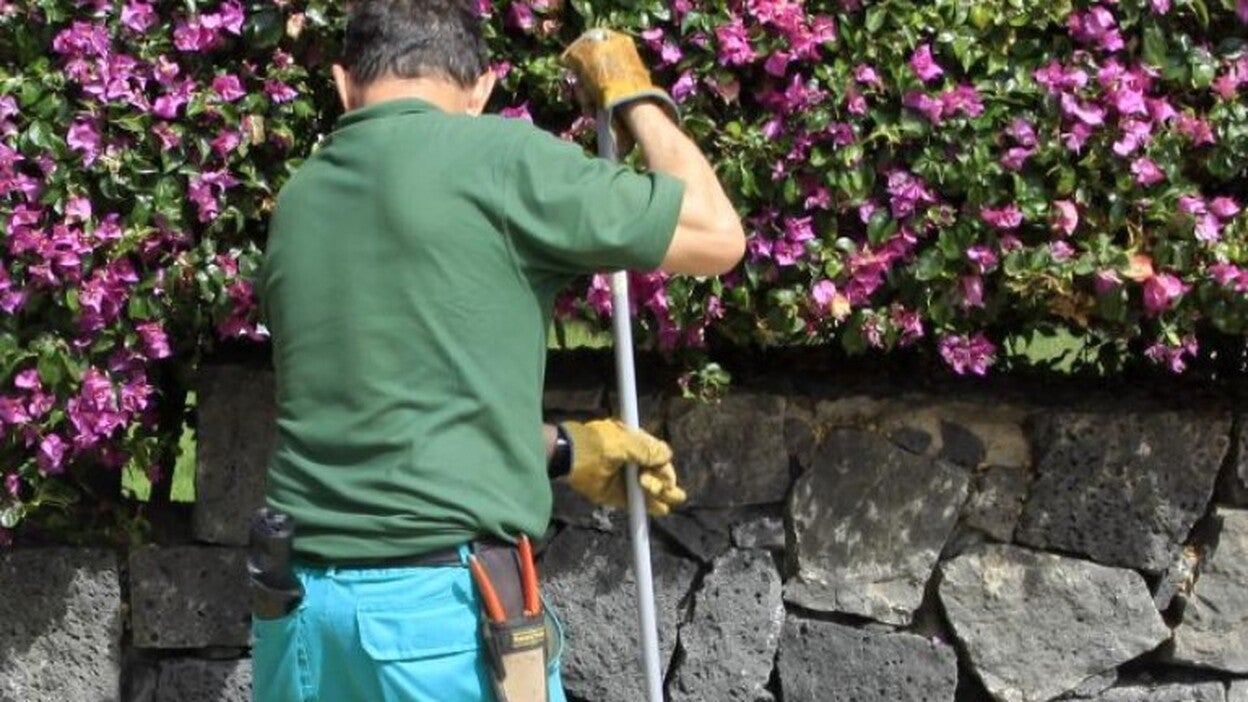 Yaiza también lidera la firma de contratos de trabajo en 2017