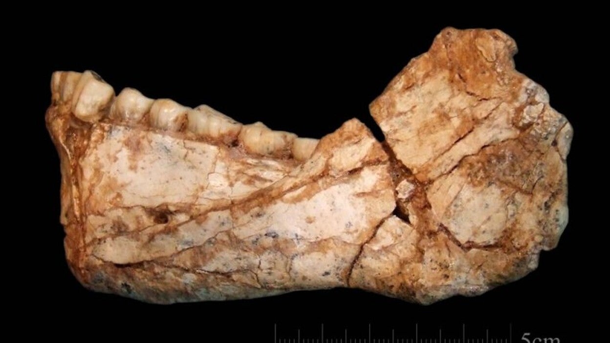 Hallan los restos del Homo Sapiens más antiguo del mundo