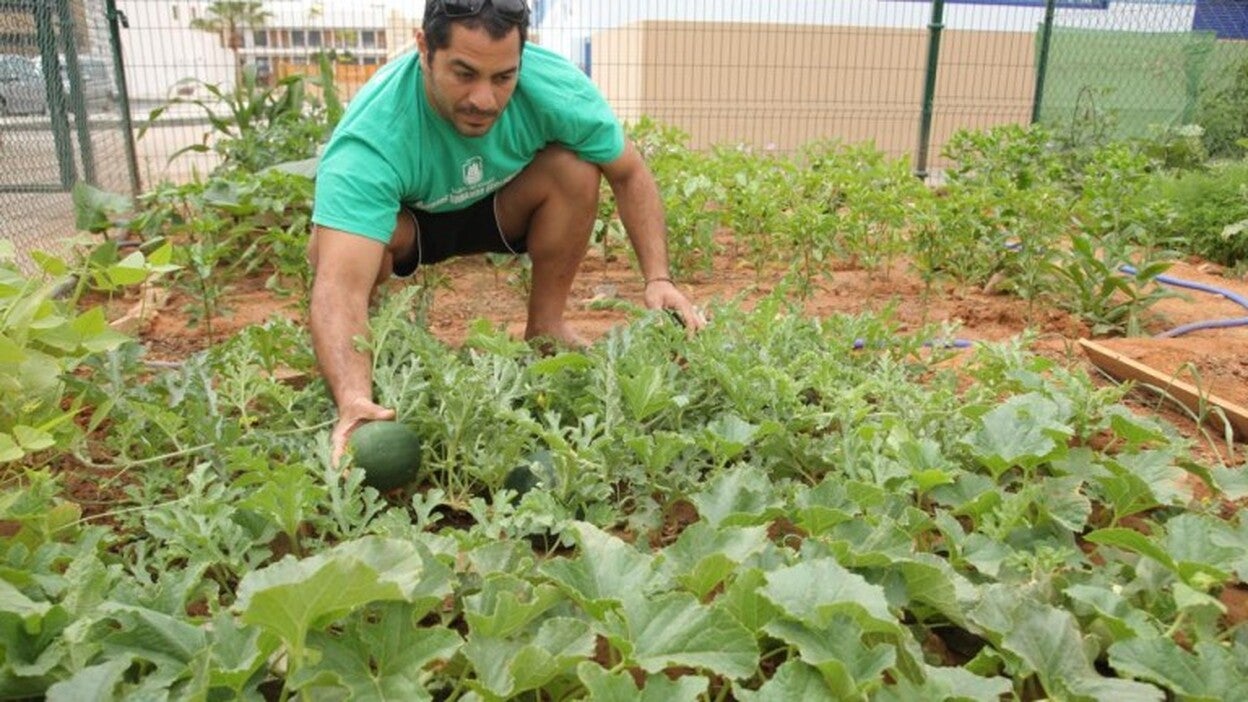 El Cabildo subvenciona a Adisfuer con 95.000 euros
