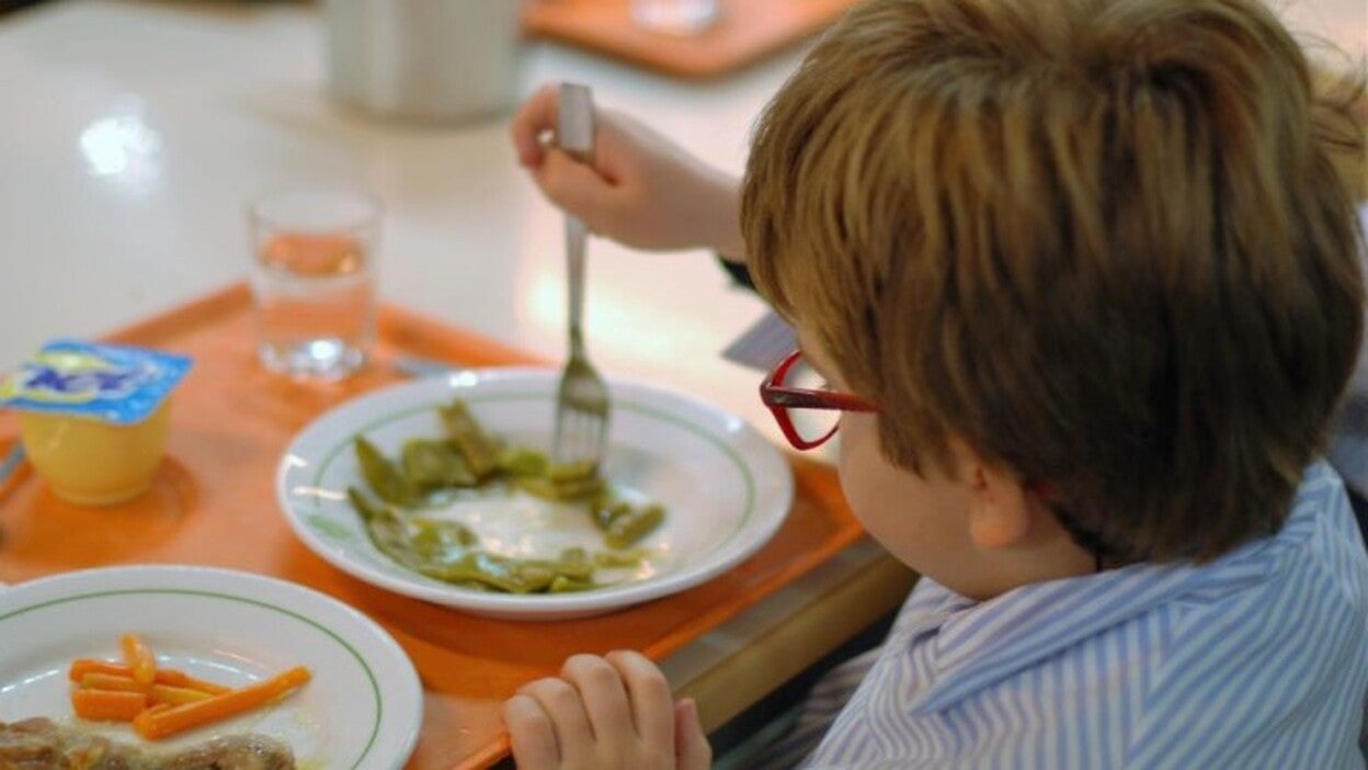 Garantías para la alimentación de los menores