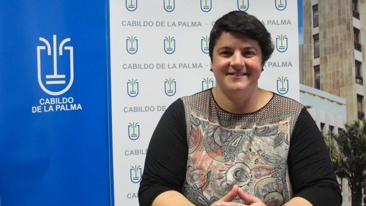 El Cabildo pondrá en marcha un plan de participación y cooperación juvenil en la Isla