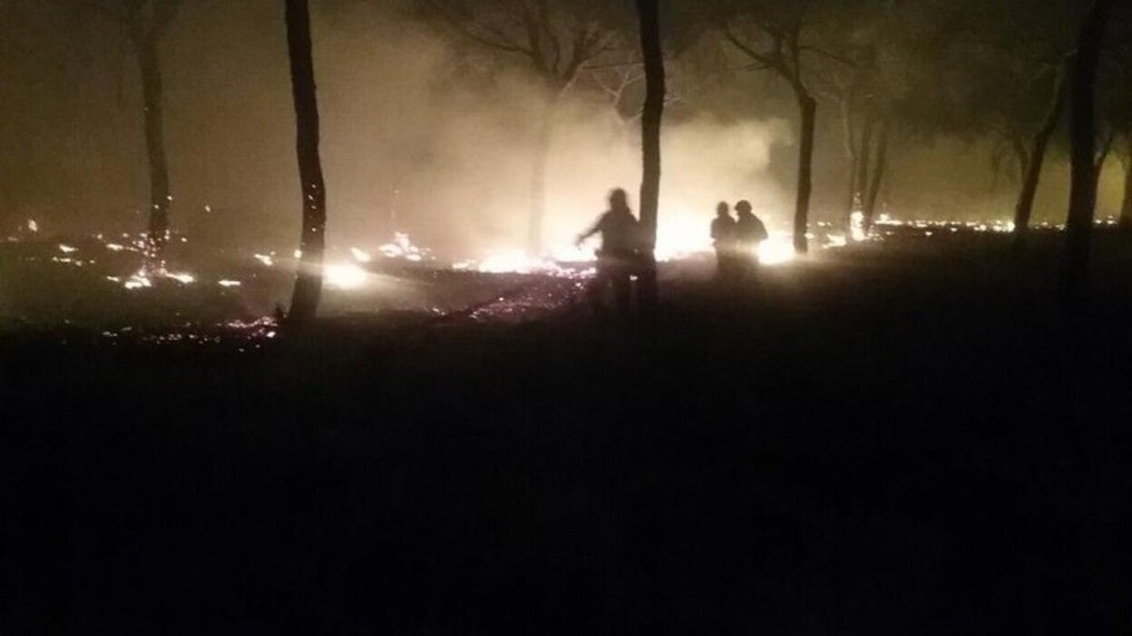 El incendio de Huelva entra en el Espacio Natural de Doñana