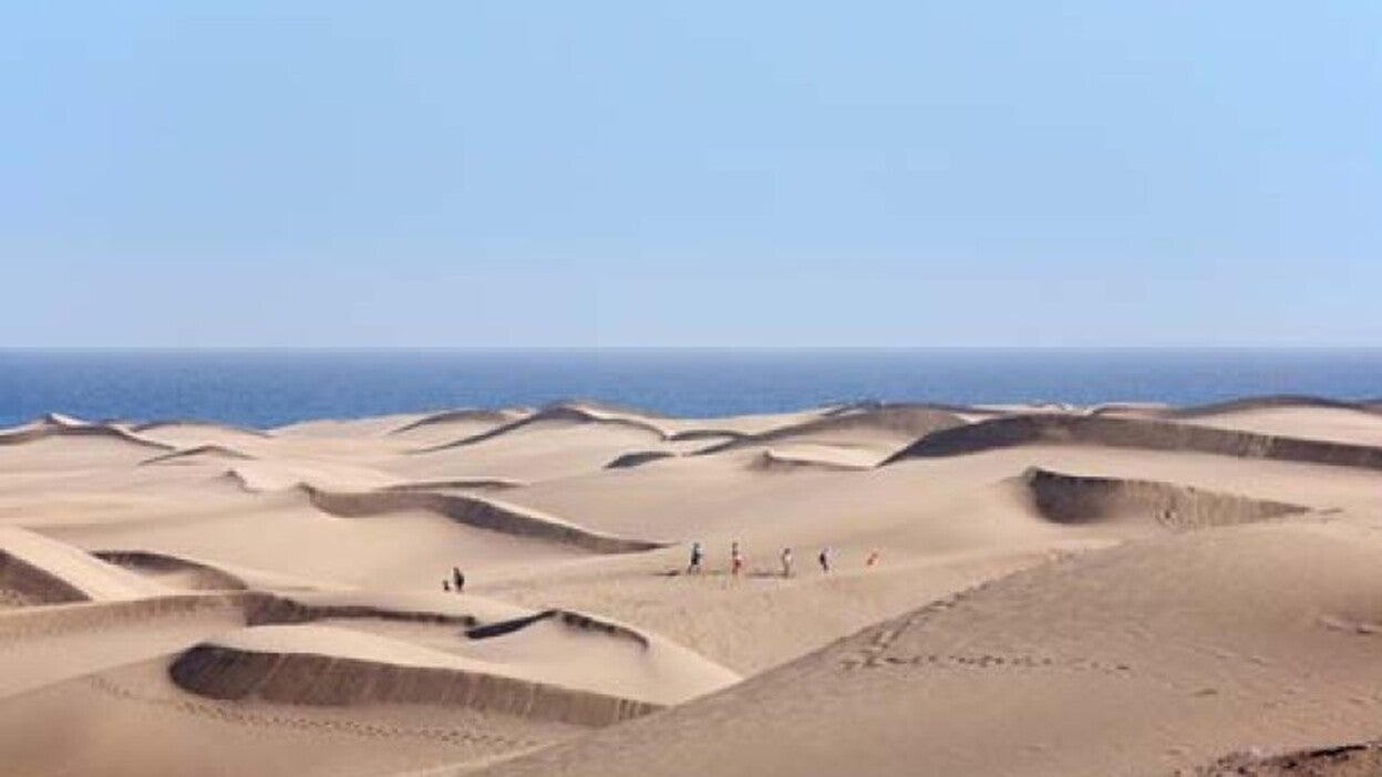 El Gobierno destinará 100.000 euros para la promoción exterior de Best in Gran Canaria