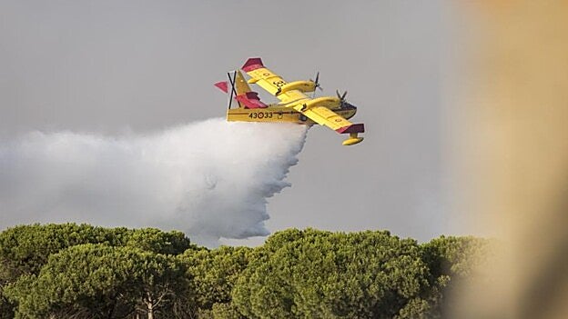 Dan por controlado el incendio en Doñana