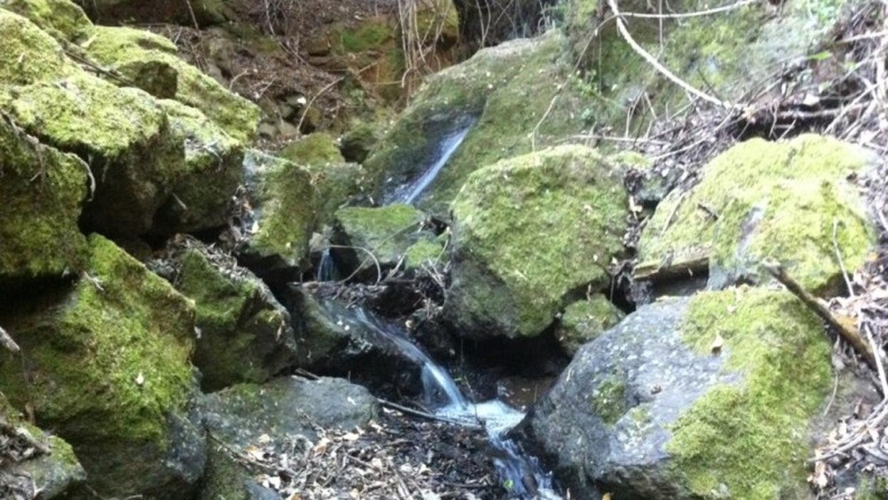 Denuncian al líder de Turcón por «intentar salvar la Mina»