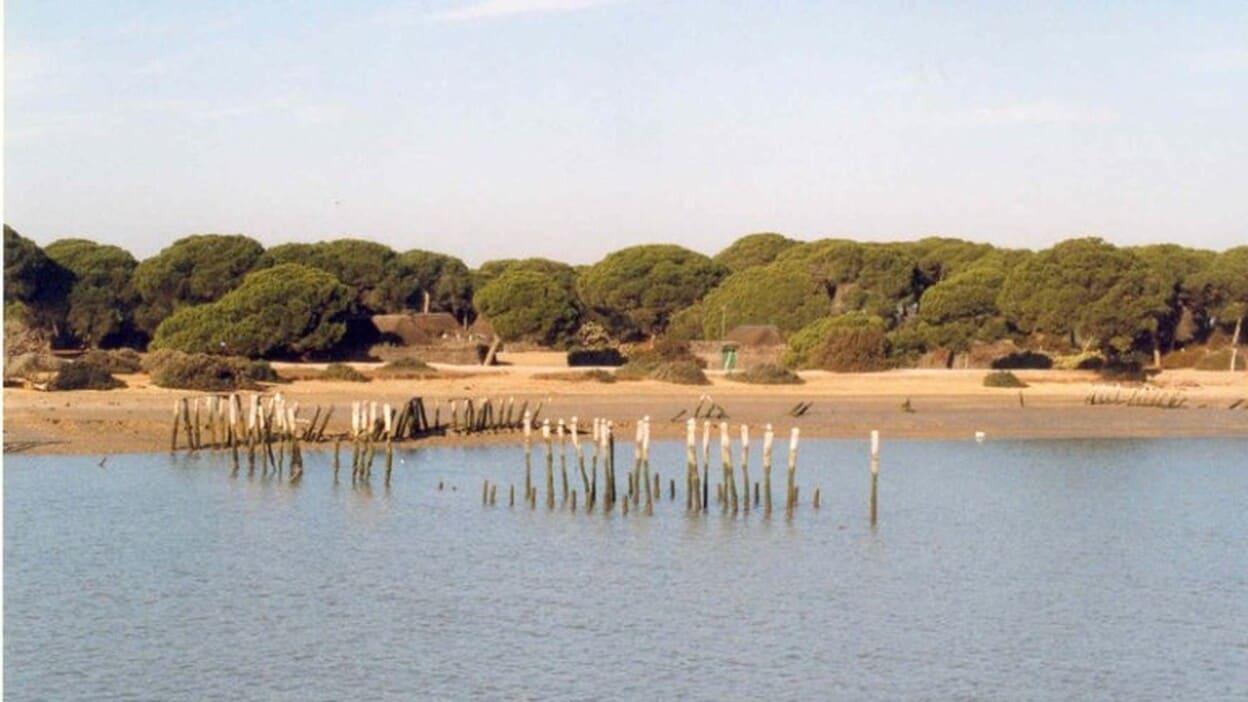 WWF pide declarar «en riesgo» acuífero Doñana