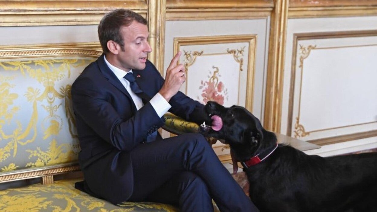 Macron vincula Arabia Saudí y Catar con la financiación del terrorismo