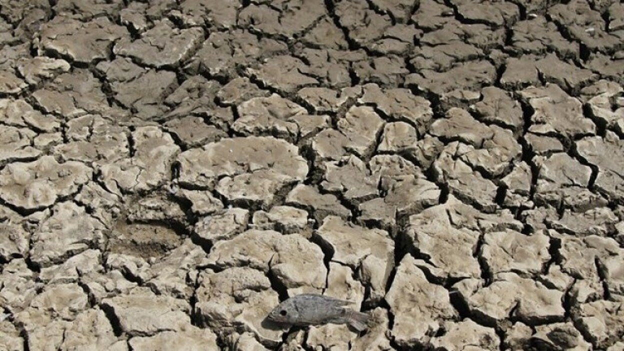 A más de mil millones de personas les faltará alimento