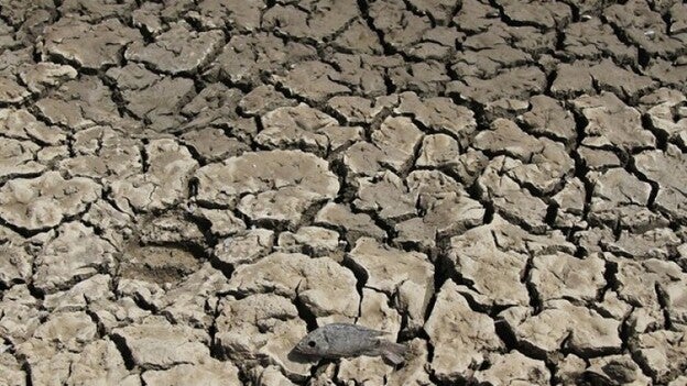 A más de mil millones de personas les faltará alimento