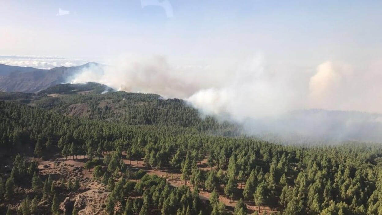 Incendio de Gran Canaria: el optimismo se abre paso