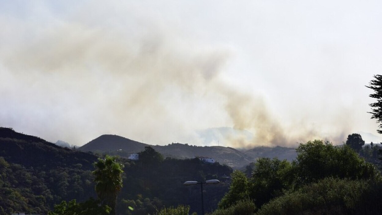 Imágenes del incendio en la Cumbre de Gran Canaria