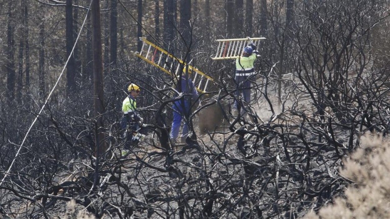 Una jornada cualquiera en la Cruz de Tejeda