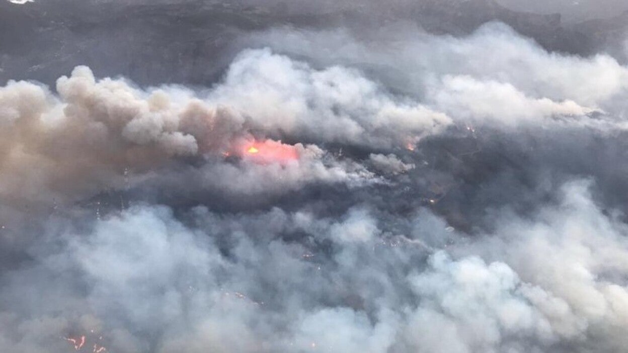 Los afectados por el incendio pueden hacer sus reclamaciones