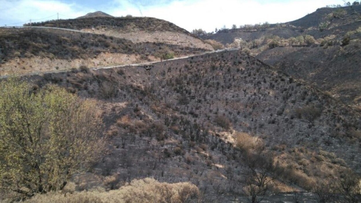 Primer día sin humo en la cumbre tras el incendio