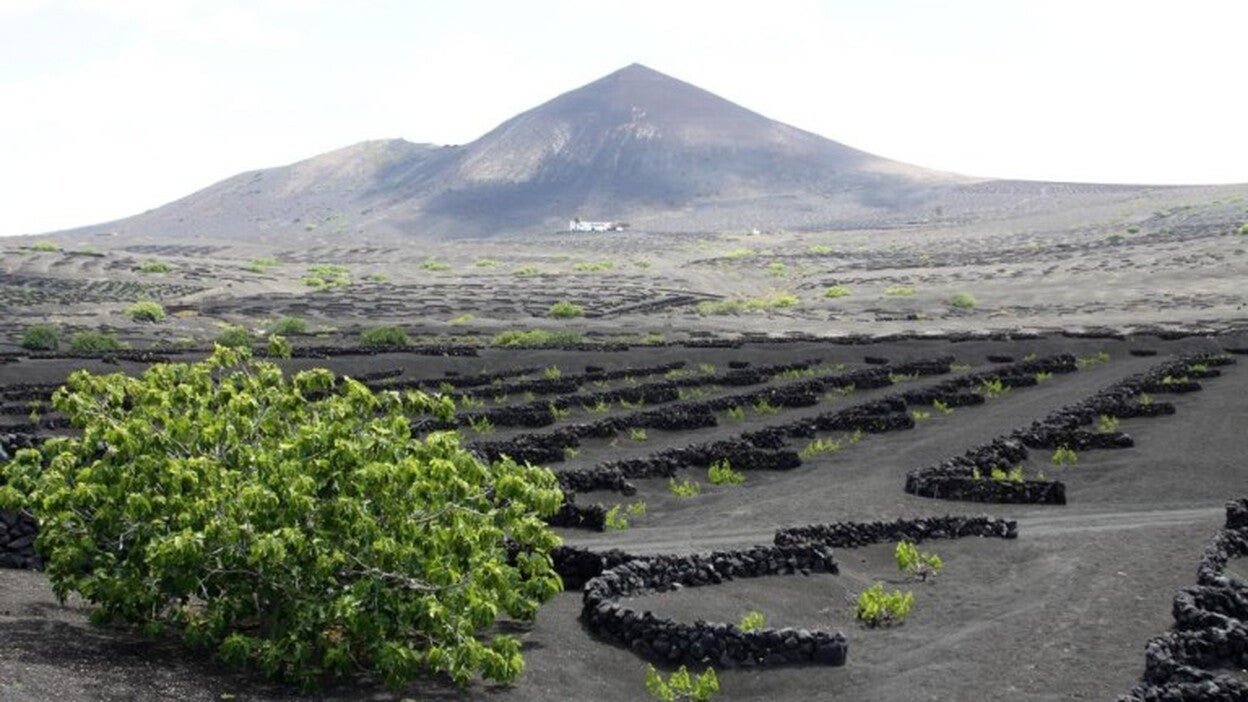 Timanfaya, el milagro de las tierras áridas