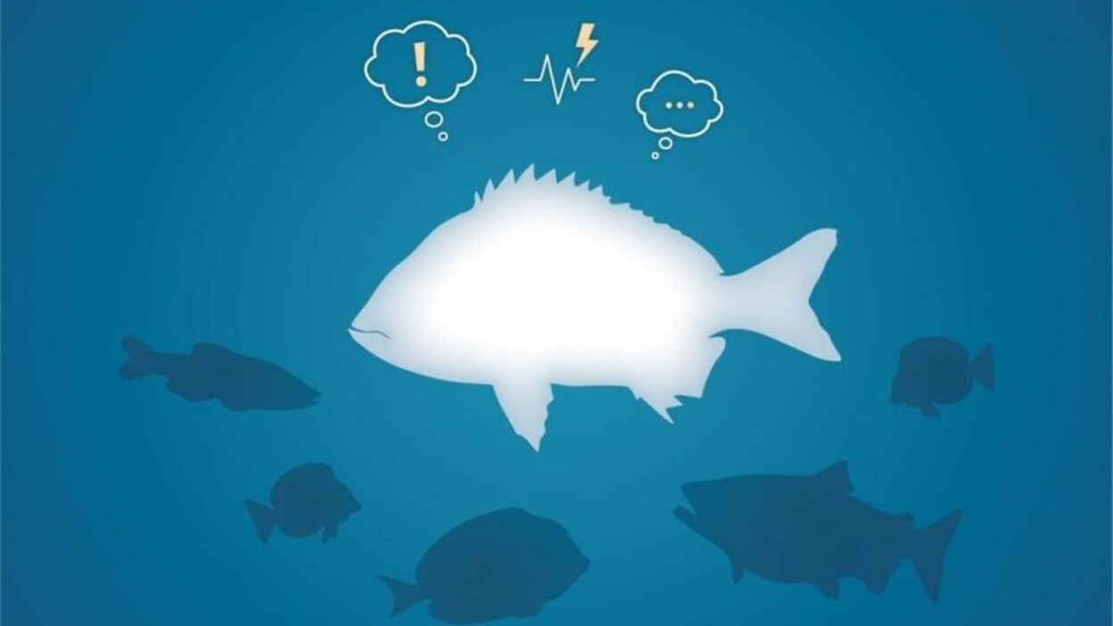 Los peces se emocionan