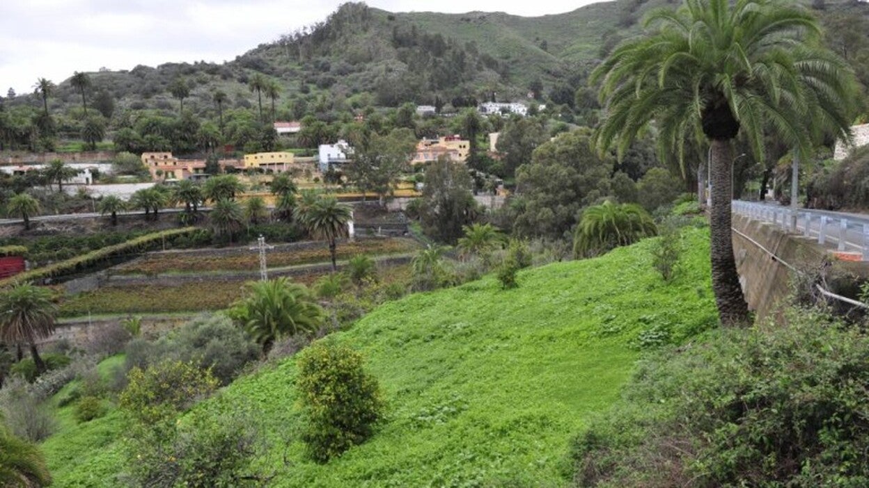 Vino, Queso y Miel para los Finaos de Santa Brígida