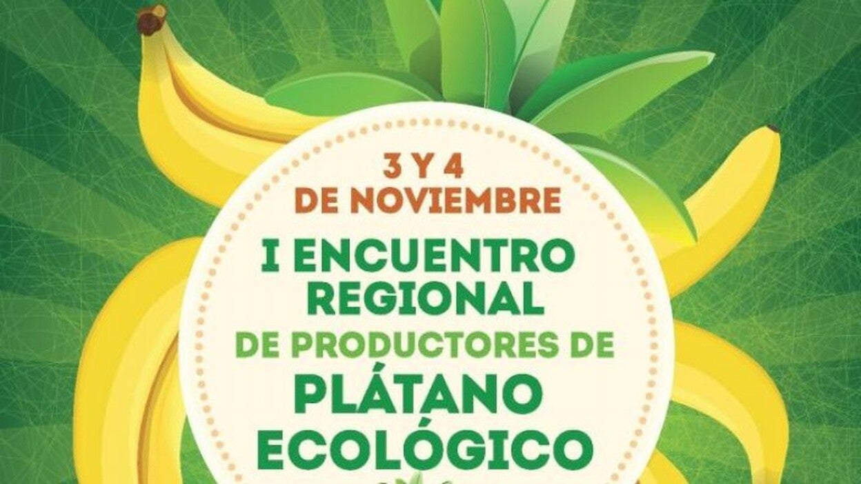 Gáldar acoge el I Encuentro Regional de Productores de Plátano Ecológico