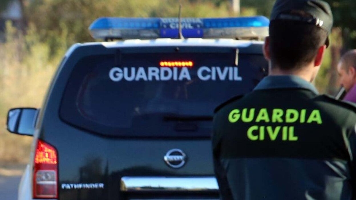 7 detenidos por robar a turistas en el sur