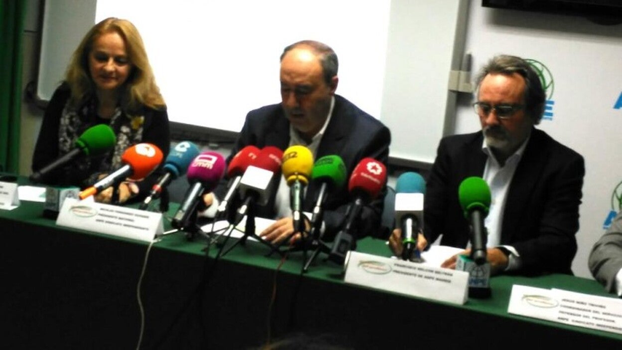 Repunta el acoso y violencia hacia los docentes