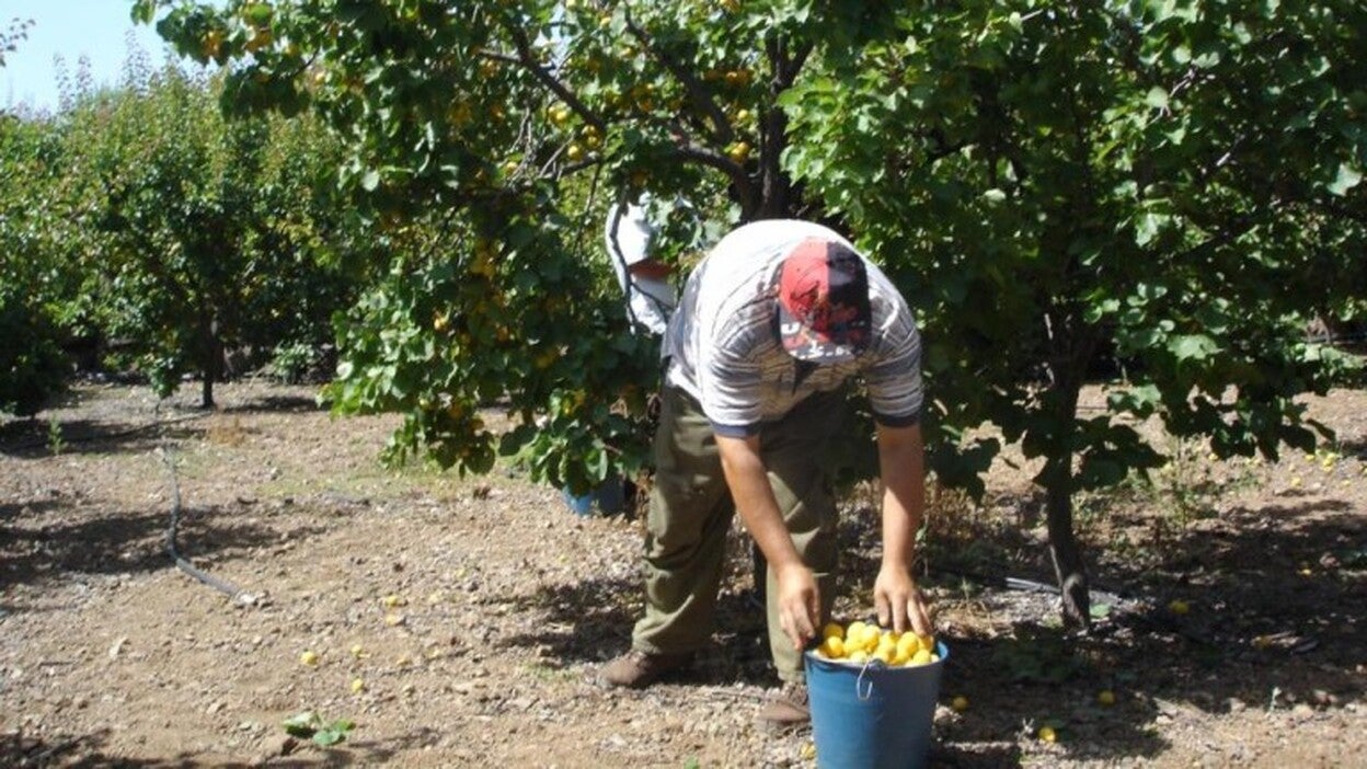 Trabajo regulariza hasta septiembre 5.000 contratos