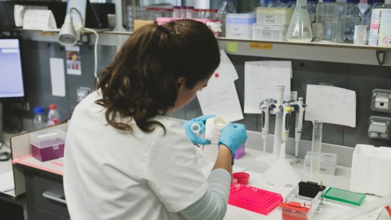 Canarias baja su gasto en I+D y se afianza en la cola estatal