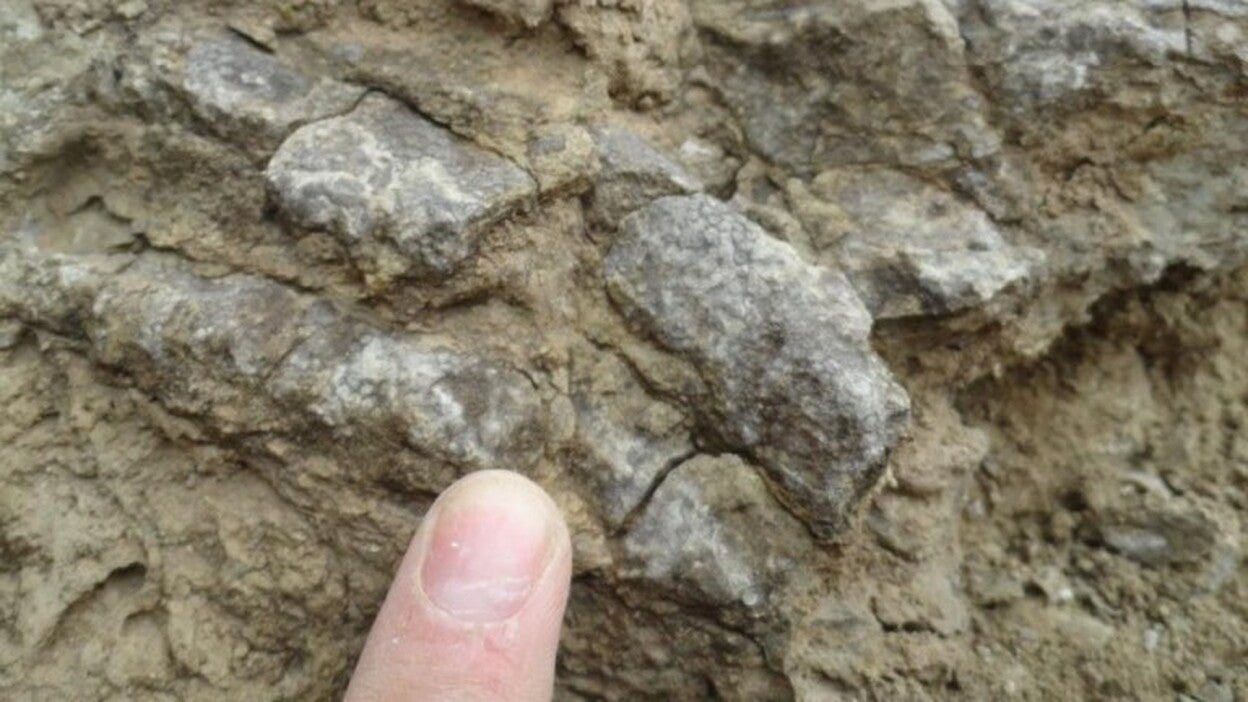 La vida terrestre comenzó hace más de 3.500 años