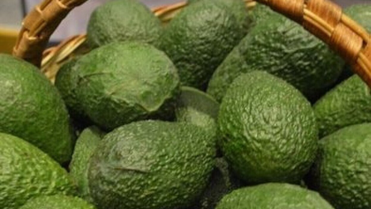 Investigado por el robo de 174 kilos de aguacates