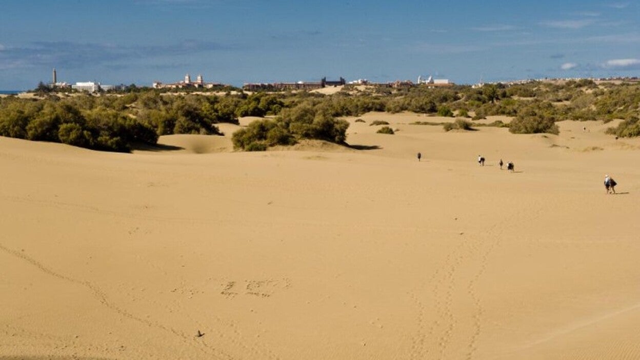 Medio Ambiente creará una cuadrilla permanente de espacios costeros